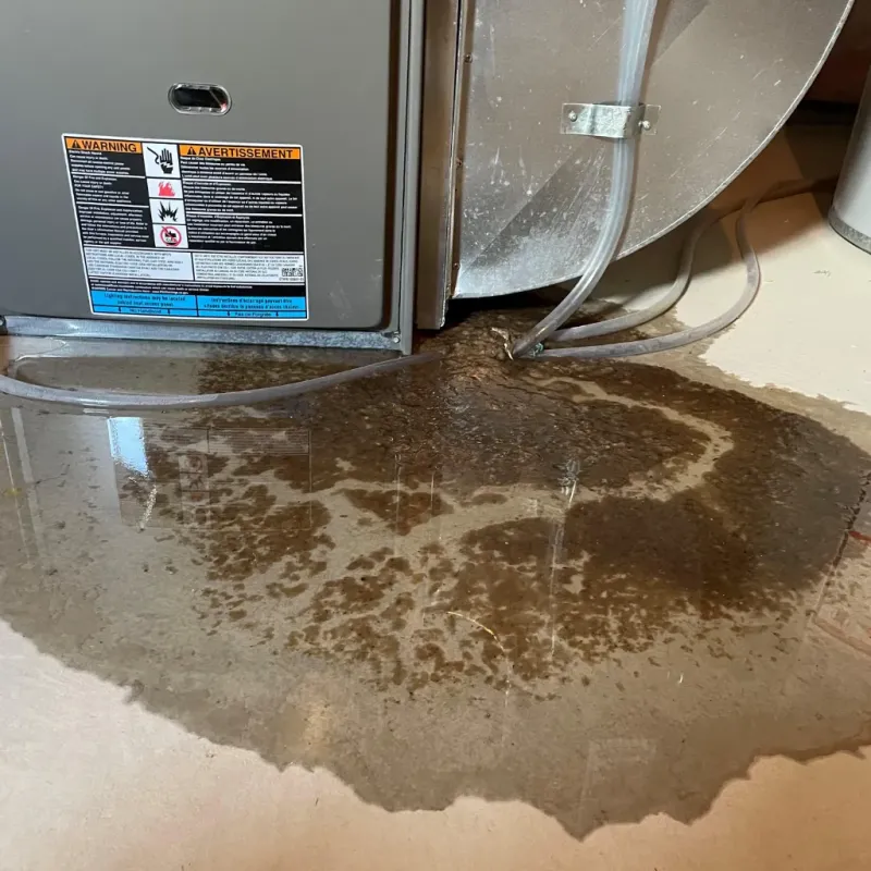 Appliance Leak Cleanup in South Hempstead, NY